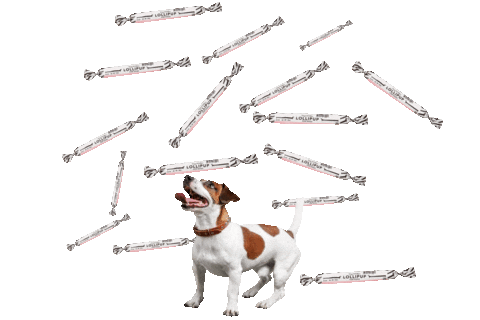 Snacks Treats Sticker by Hugoandceline