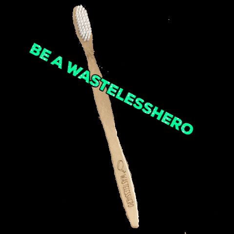 wastelesshero giphygifmaker zerowaste toothbrush plastikfrei GIF