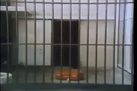 hank-williambuelow giphygifmaker american tourister GIF