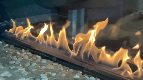 GIF by Colorado State University Admissions