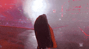 Wrestlemania 35 Sport GIF by WWE
