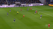 soccer bundesliga GIF by 1. FC Köln