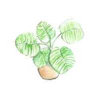 creartraffy plant watercolour plantlover creartmum Sticker