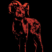 Bleckwiesen bwf bleckwiesen bleckwiesenfestival GIF
