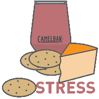 Party Celebrate Sticker by CamelBak