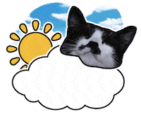 Good Morning Hello Sticker