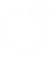 Full Circle Effects Sticker