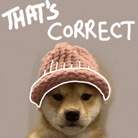 Dog Cryptocurrency GIF