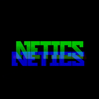 NETICS glitch netics GIF