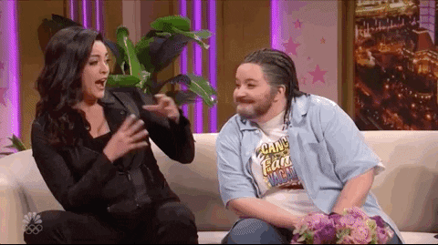 Snl GIF by Saturday Night Live