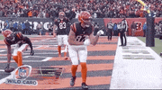 Nfl Playoffs Football GIF by NFL