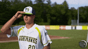 uppervalleynighthawks valley talonsup upper nighthawks GIF