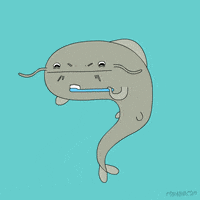 Animation Domination Lol GIF by gifnews