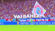 Football fan bahia GIF by Confederação Brasileira de Futebol