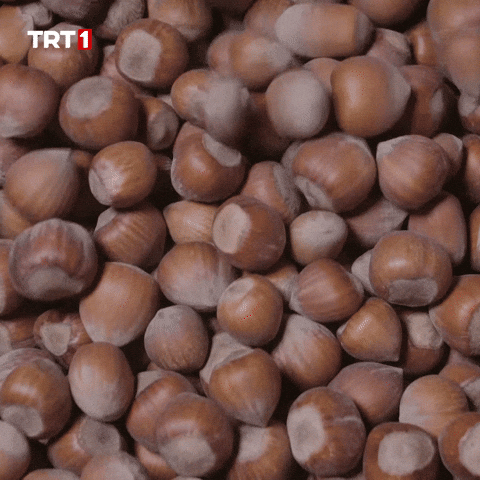 Energy Eat GIF by TRT