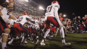 florida atlantic fau football GIF by FAU Athletics
