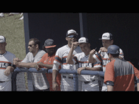 florida atlantic baseball GIF by FAU Athletics