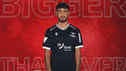 Karlsruher Sc Applause GIF by Bundesliga