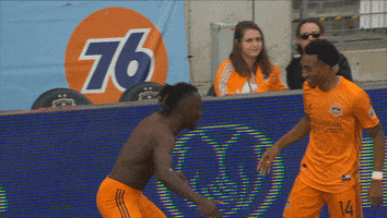 Black Panther Football GIF by Houston Dynamo