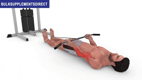 BulkSupplementsDirect giphyupload bulksupplementsdirectcom short head biceps exercises supine cable curls GIF