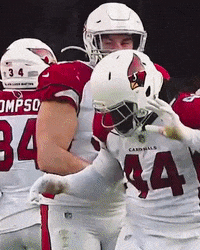 Cardinal Football GIF by Arizona Cardinals