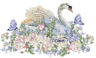swan STICKER