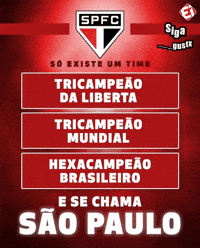 Sao Paulo Santos GIF