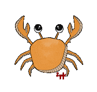 Hawaii Crab Sticker by Il Gufo