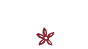 Beach Flowers Sticker by Blooming Bean Coffee Roasters
