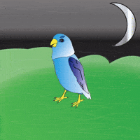 Whistle While You Work Pretty Bird Whistle