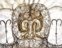 Shop Gather GIF by Alex Boya