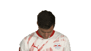 Look Up Rb Leipzig Sticker by Bundesliga