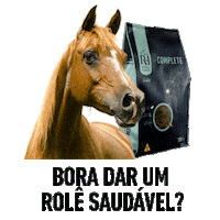 Cavalos Passear Sticker by Socil