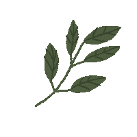 Plant Sticker by jajonc
