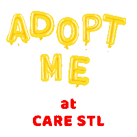 carestl adopt icarestl carestl caredog Sticker
