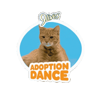 Morristhe9LivesCat dance cat happy dance adoption Sticker