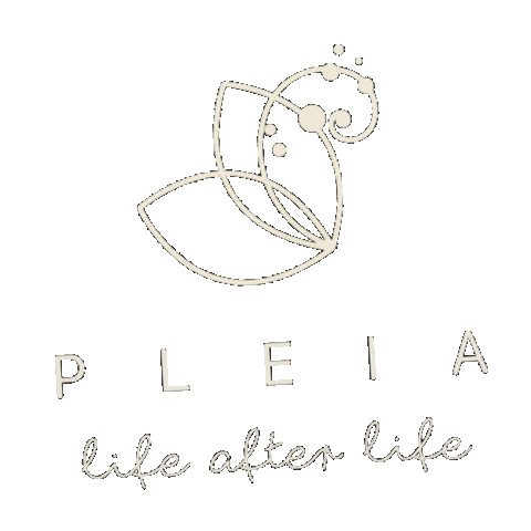 Stars Vida Sticker by Pleia Life