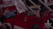 ice hockey GIF by NHL