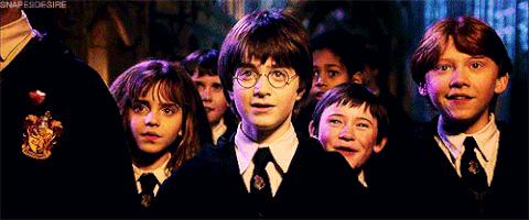 harry potter and the philosophers stone GIF
