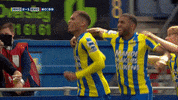 Sport GIF by FOX Sports