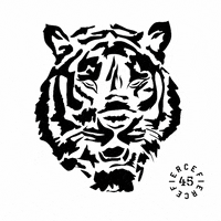 Fierce45  GIF