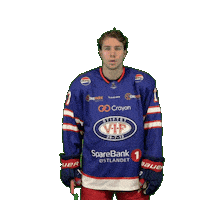 Leo Lett Sticker by VIF Hockey