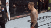 Dustin Poirier Sport GIF by UFC