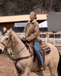 Horse Settle Down GIF by Moses SEO