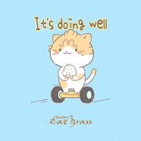 Cat Go GIF