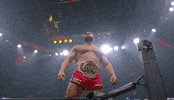 Aew On Tnt Miro GIF by All Elite Wrestling on TNT