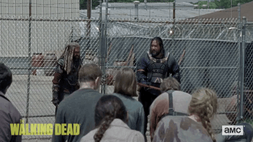 twd GIF by The Walking Dead