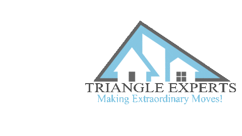 Trex1 Sticker by Triangle Experts