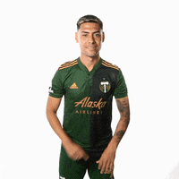 Portland Timbers Soccer GIF by Timbers