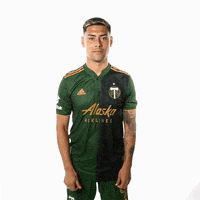 Portland Timbers Soccer GIF by Timbers